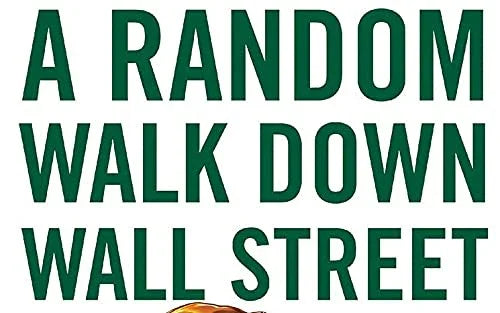 A Random Walk Down Wall Street: The Time-Tested Strategy for Successful Investing Paperback - eLocalshop