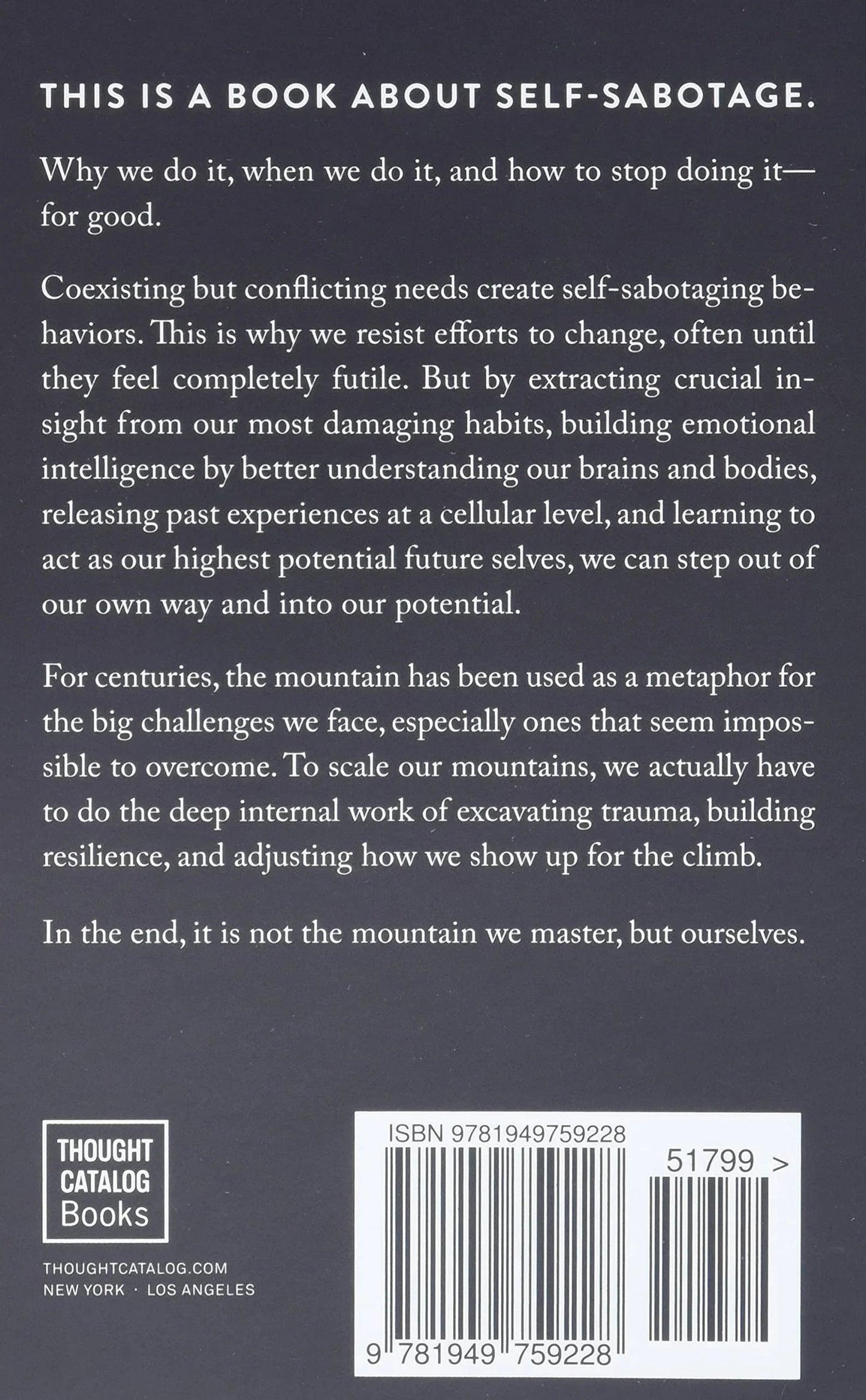 The Mountain Is You: Transforming Self-Sabotage Into Self-Mastery - eLocalshop